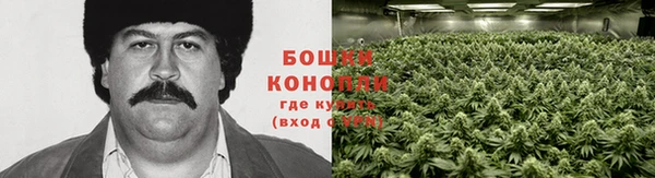круглые Богданович