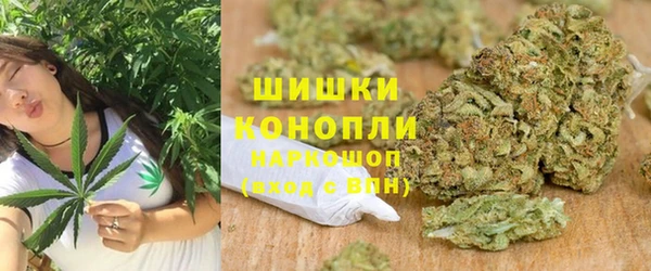 дмт Богородск