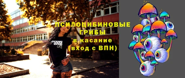 спайс Богородицк