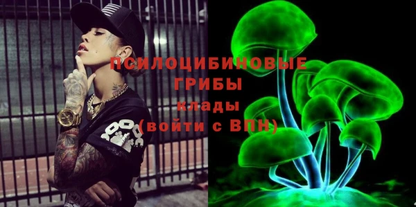 спайс Богородицк