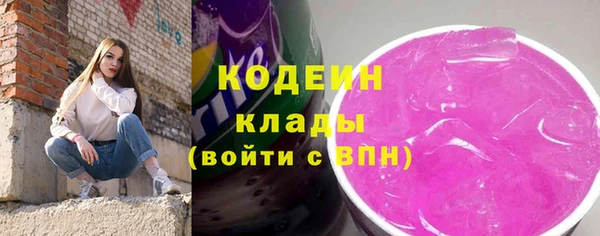 дмт Богородск