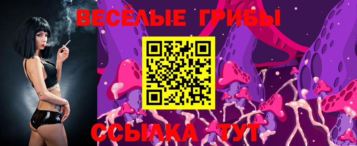 Галлюциногенные грибы мухоморы  Вход с VPN  Северск 