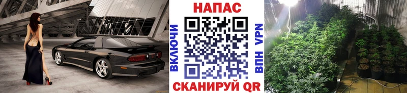 МАРИХУАНА ГИДРОПОН  нарко площадка официальный сайт  Северск 